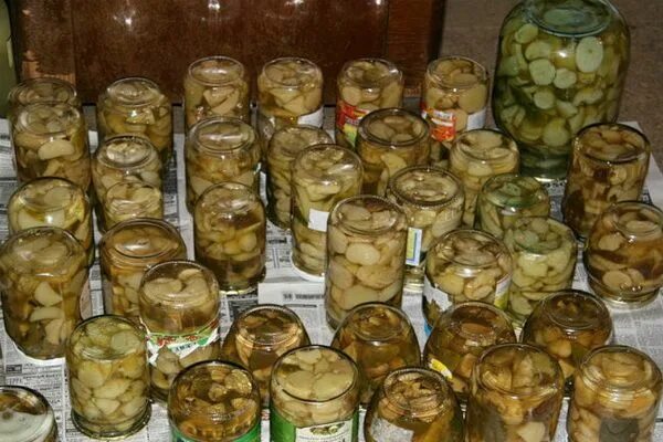 Опята на зиму: 15 быстрых и вкусных рецептов заготовок