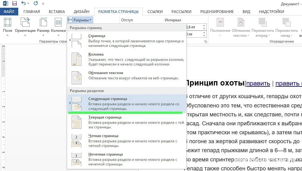 Нумерация страниц начинается заново. Разметка страницы разрывы. разметка страницы-разрывы-разрывы разделов. файл главная вставка разметка страницы это. разметка страницы – разрывы – разрывы разделов: текущая страница.