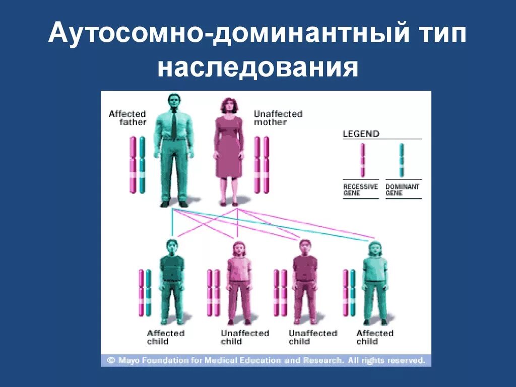 Аутосомно-доминантный Тип наследования. Заболевания по аутосомно-доминантному типу наследования. Схема аутосомно доминантного наследования. Аутосомно-доминантный Тип наследования схема. Болезни по наследству от матери