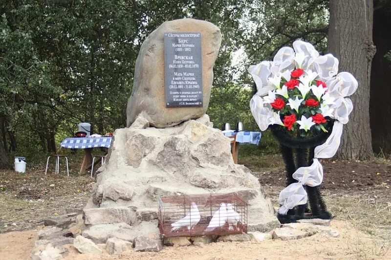 Список погибших липецкой области. Липецкая область осиновые Прудки. Деревня Зашево Данковский район Липецкая область. Данковский район деревня осиновые Прудки. Бегичево деревня Липецкая область.