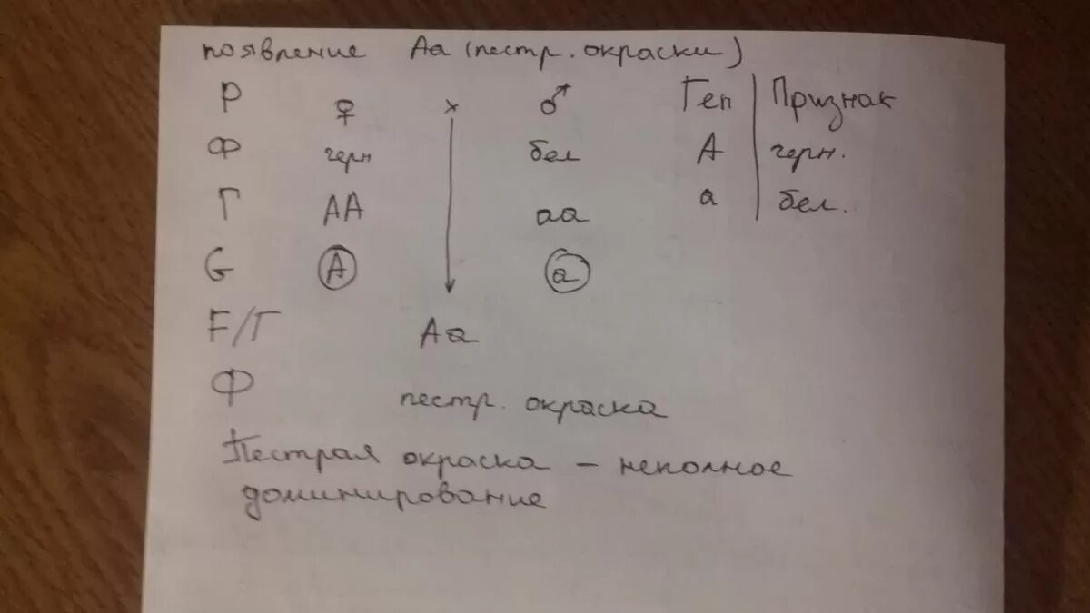 При скрещивании пестрой хохлатой в. При скрещивании пестрой хохлатой курицы с таким же. При скрещивании пестрой хохлатой b курицы с таким же. Скрестили пестрых петуха.