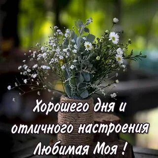 Пожелания доброго дня жене