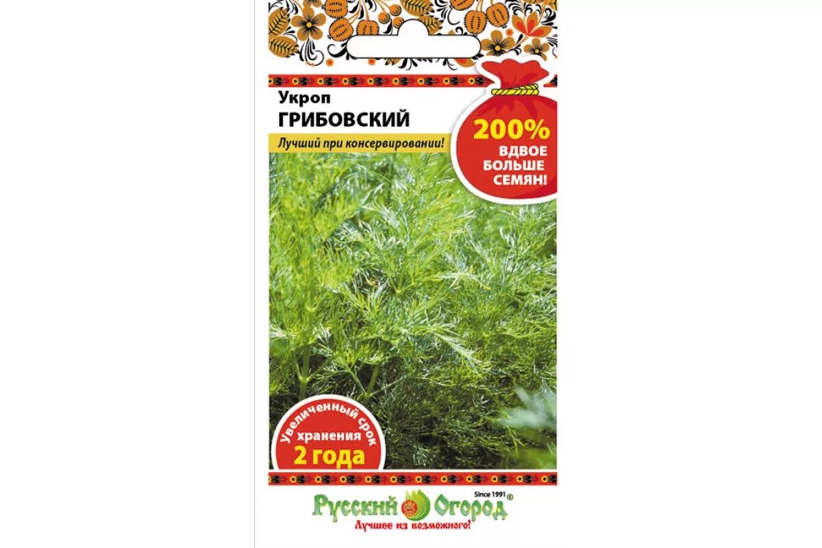 Укроп грибовский. Укроп сорт грибовский. Укроп грибовский описание сорта. Укроп сорт грибовский. Укроп грибовский фото.