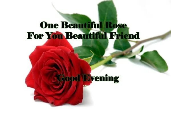 For you розы. Открытки you are beautiful Flowers. Открытка beautiful you are. Rose is beautiful