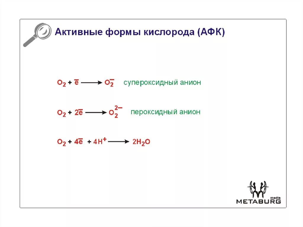 Активная форма простейшего