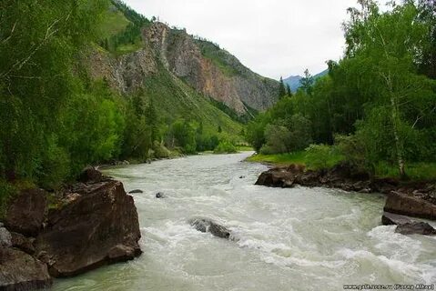 Алтай ра