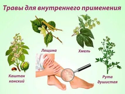 Зуд от какой травы
