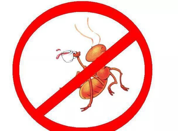 Знаки защиты насекомых. Нельзя уничтожать насекомых. Знак муравьи запрещены. Знак нельзя ловить насекомых. Обиженный муравей