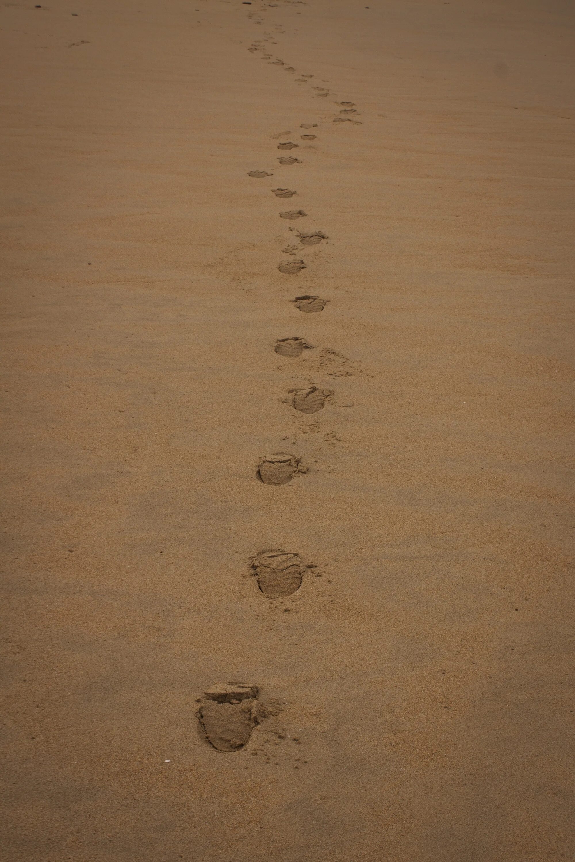 Поверни следы. Отпечаток на песке. следы лошади на песке. отпечаток обуви на песке. дорожка следов обуви на песке.
