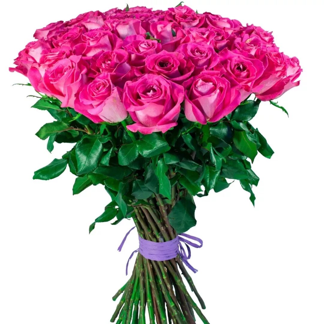 Сколько стоит букет цветов роз. Букет роз Пинк Флойд 25 штук. Малиновые розы букет. Букет из розовых роз.