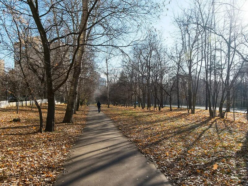 Ноября москва какое будет. Москва в ноябре. Москва в начале ноября. Москва в ноябре фото. Ноябрь в России реальный.