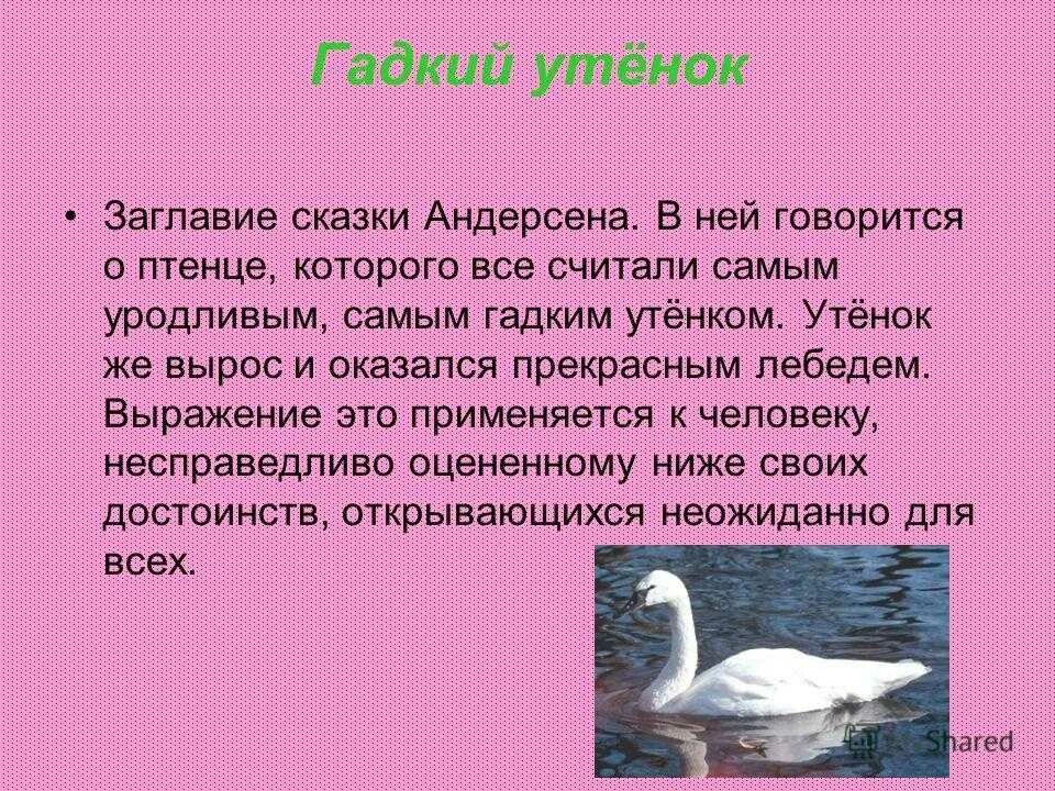 Отзыв на сказку Гадкий утенок 3 класс. Пересказ сказки Андерсена Гадкий утёнок. Эссе по литературе 3 класс Гадкий утёнок. Краткий отзыв о произведении Гадкий утенок. Отзыв гадкий утенок 3 класс