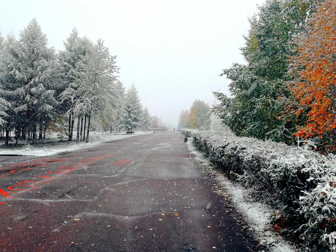 Снег в сентябре какая. Нерюнгри зима 2021. Нерюнгри выпал снег. Первый снег в Нерюнгри. Нерюнгри снег летом.