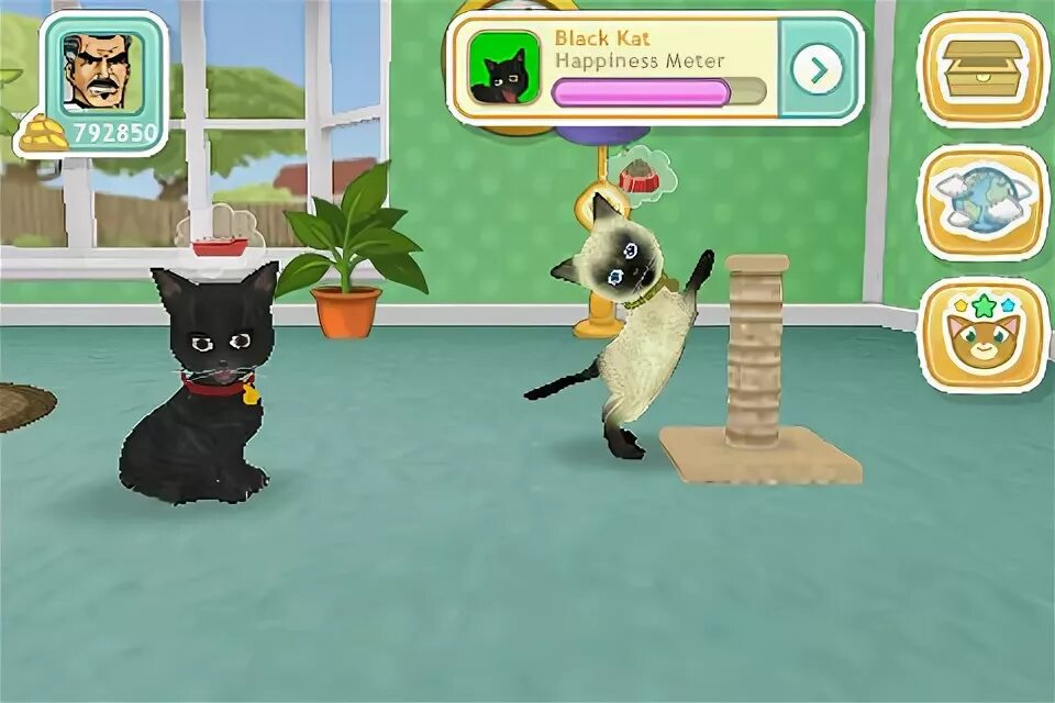 My pets игра ключ. Cats игра. Игры для кошек. Cats and Dogs игра. Развлекательные игры для кошек.