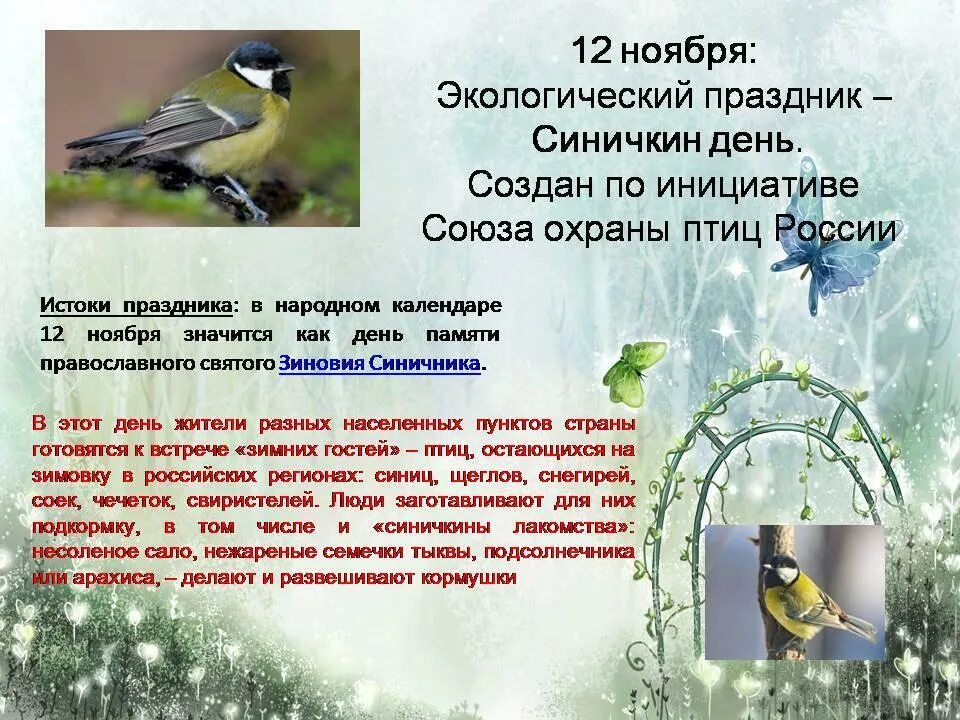 Синичкин день. Экологический праздник Синичкин день 12 ноября. Праздник Синичкин день в детском саду. Синичкин день в детском саду с датой.