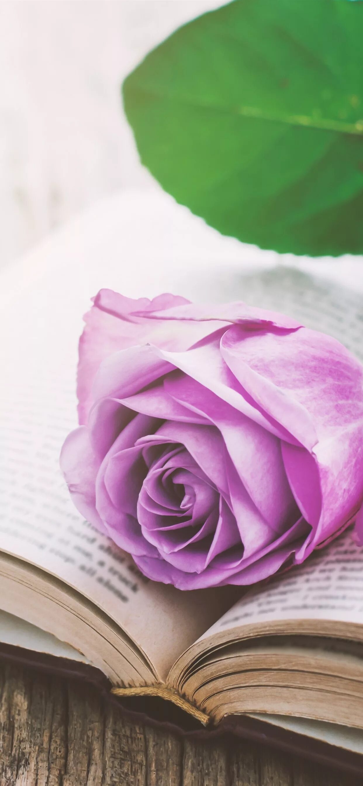 Книга розы картинки. Раскрытая книга с цветами. Книга с цветами. Книга цветы. Книга розы картинки.