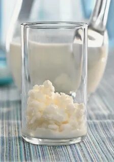 Кефирный гриб польза и вред