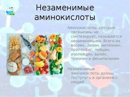 Продукты заменимые аминокислоты