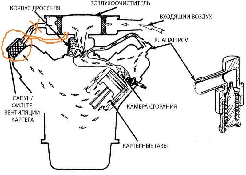 Двигатель всасывает воздух. Схема системы вентиляции картера двигателя. Схема работы вентиляции картерных газов. Клапан системы вентиляции картерных газов. Система вентиляции картерных газов схема.