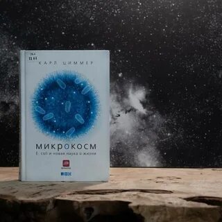 Микрокосм цифры