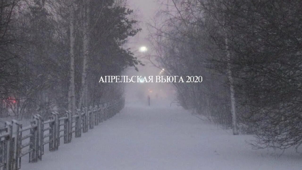 Метель в апреле. Пурга в апреле. Тобольск Снежная буря. Звенит Апрельская вьюга. Опять метель апрель