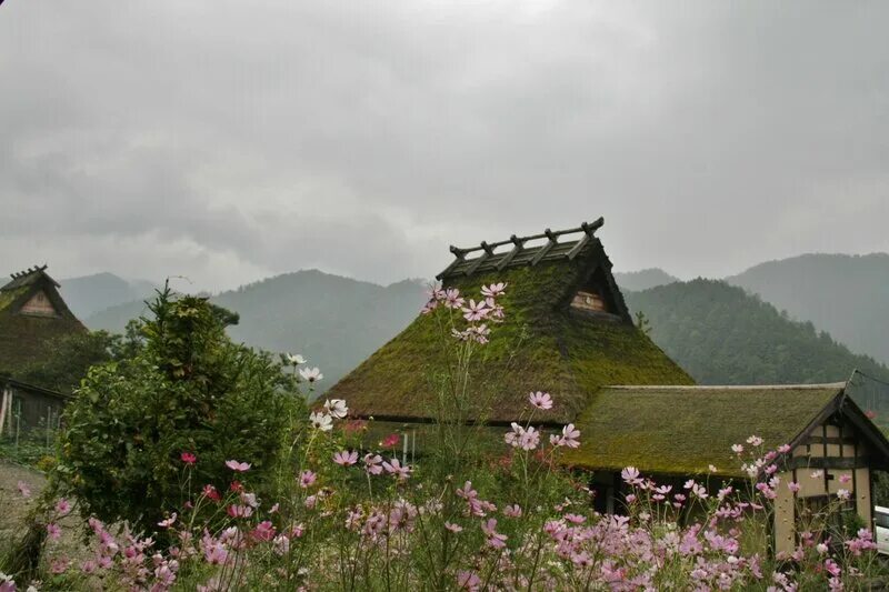 Японская деревня видео. Деревня мисима япония. деревня инунаки япония. японская деревня айнокура. японская деревня традиционная.