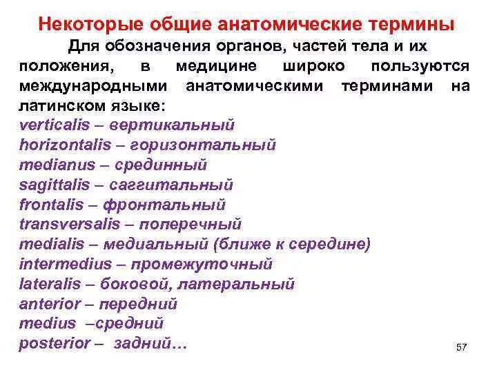 Что обозначает слово латынь. Общие анатомические термины. Основные анатомические термины на латинском. Латинские термины в анатомии. Основных анамическиех Термен.