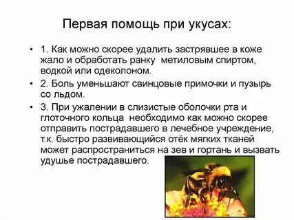 Укусы насекомых на ногах