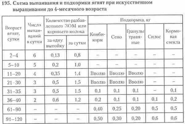 Таблица кормления новорождённых козлят. Таблица кормления козлят с 1 дня жизни. Таблица кормления новорожденного ягненка. Схема выпойки козлят до 3 месяцев. Сколько месяцев поить