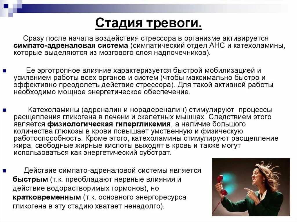 Стадия сопротивления стадия тревоги стадия истощения. Фаза тревоги. этапы тревоги. этапы тревожности. стадия тревоги изменения в работе организма.