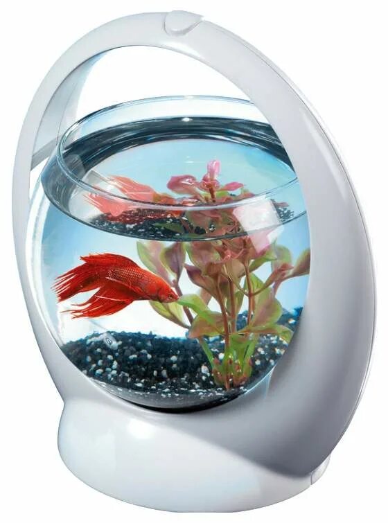 Маленький аквариум для рыбок фото New Style Glass Aquariums Ball Fish Tank Buy Glass Aquariums Fish Tank,Glass B