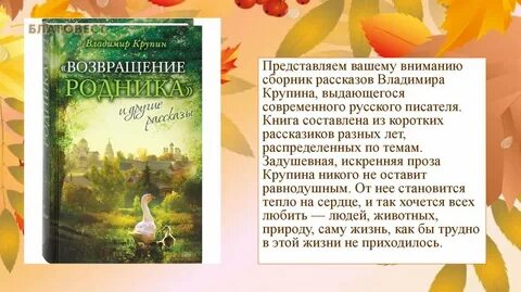 Босиком по небу крупин