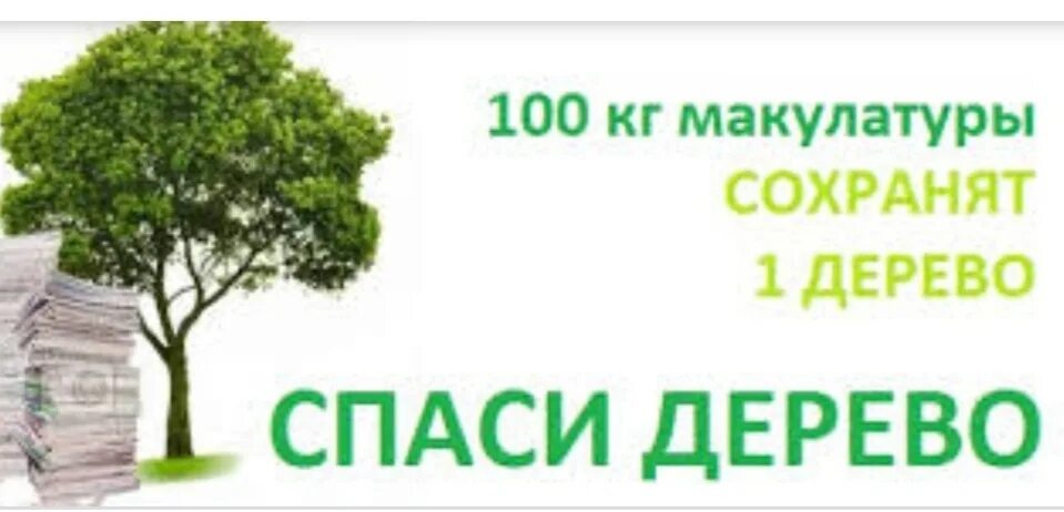 Сколько макулатуры спасает 1 дерево. Сколько макулатуры спасает 1 дерево. Рамка сбор макулатуры. Макулатура это что такое для детей. Сколько макулатуры спасает 1 дерево.