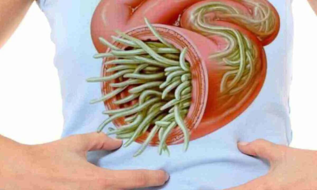 Можно ли есть внутри