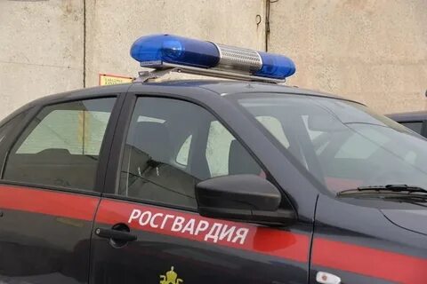Правонарушения свердловская область