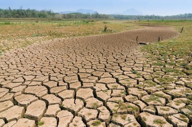 Засуха русский. Засуха в Испании 2014. Сельское хозяйство опустынивание. Засуха урожай. Опустынивание Африки.