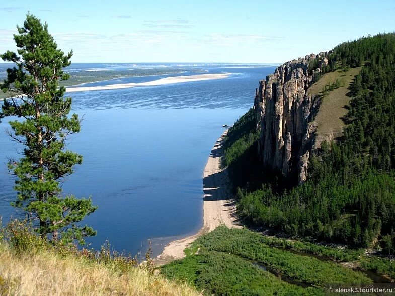Река лена якутия ленские столбы. Пейзаж река лена якутск. Река лена ленские столбы. Река лена берега. Природа якутии летом река лена ленские столбы.