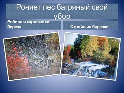 Роняет лес багряный свой убор 4