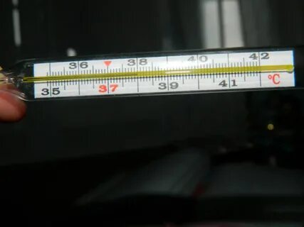 Порно фото секс анасы мен ұлы