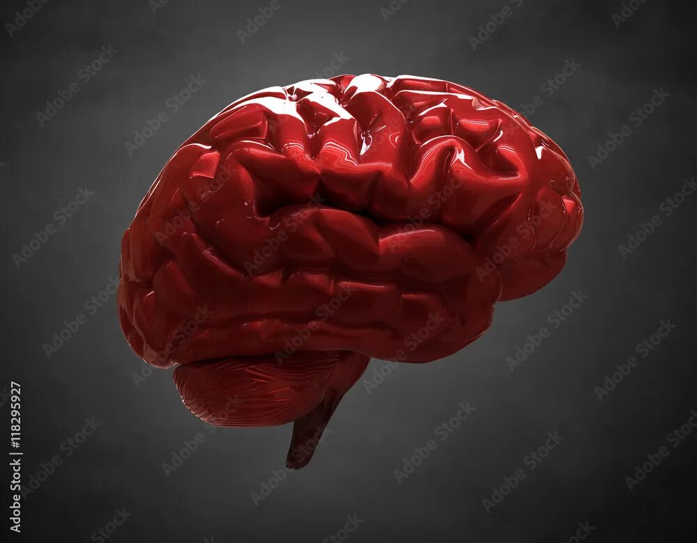Мозг без крови. Изображение крови и мозга.
