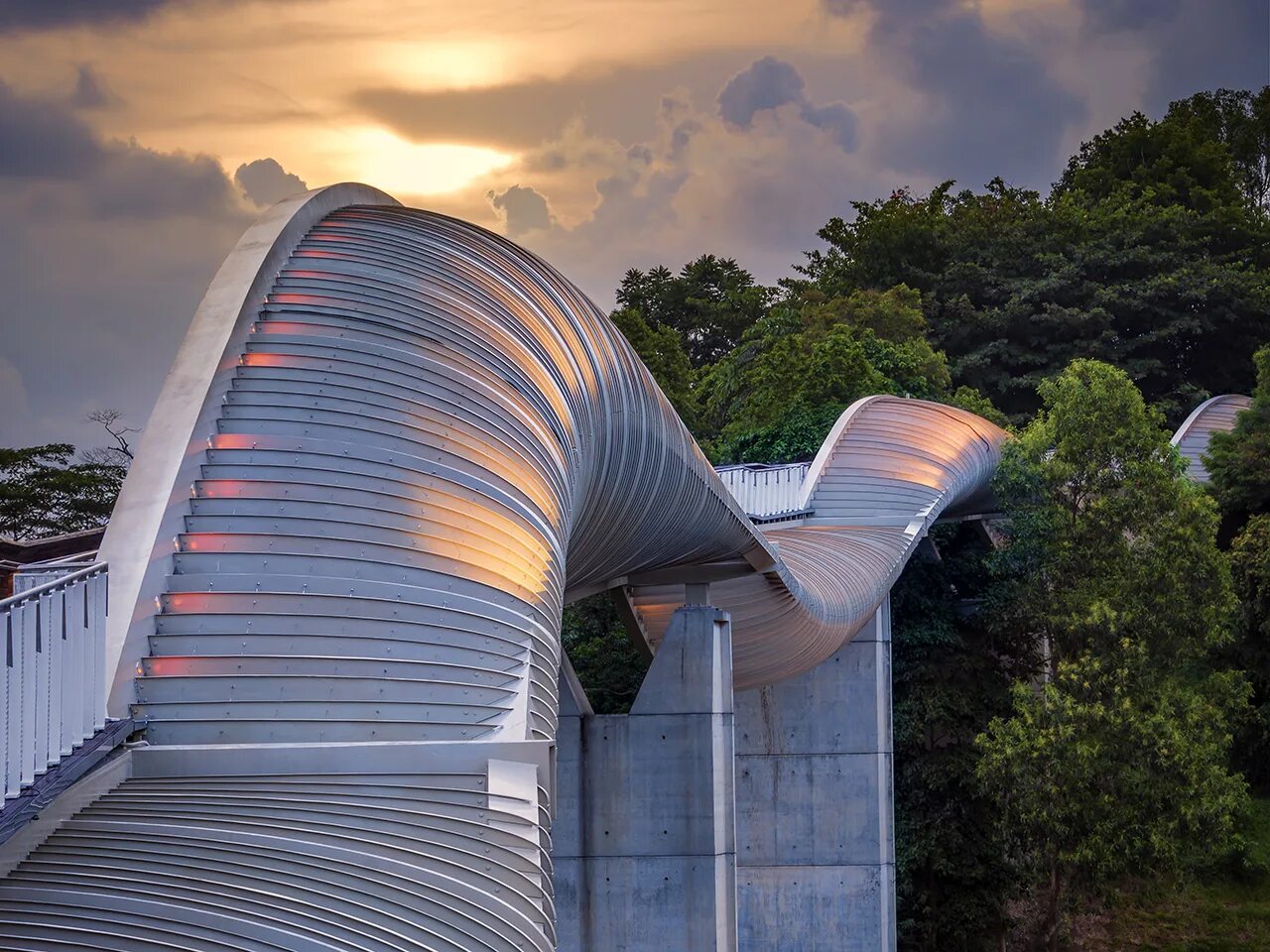 мост «волны хендерсона» (henderson waves bridge). творение хендерсона. бенсон хендерсон ufc. мост волны хендерсона в сингапуре. эван элдер боец.