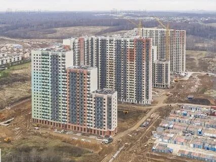 Лес застройщик