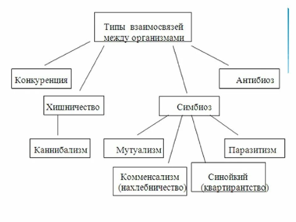 Типы биологических взаимоотношений. Типы взаимоотношений организмов схема. Схемы взаимодействия между организмами это. Схема многообразие взаимоотношений между организмами. Схема взаимодействия живых организмов.