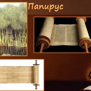 Папирус батурина