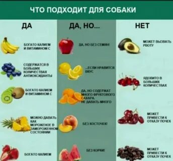 Какие фрукты можно ребенку в 5 месяцев