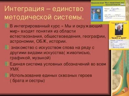Системное единство