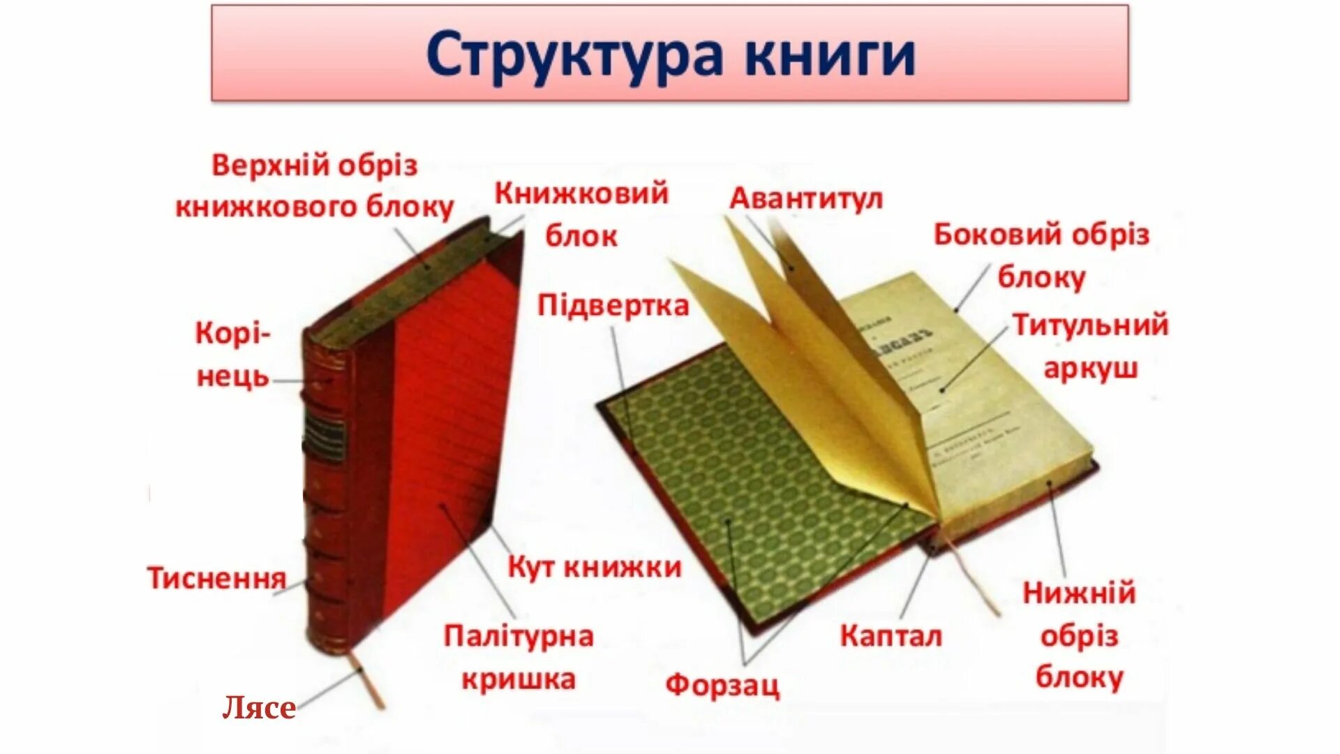 Книги стр 60. Строение книги. Структура книги. Авантитул книги это. Элементы книги в картинках.