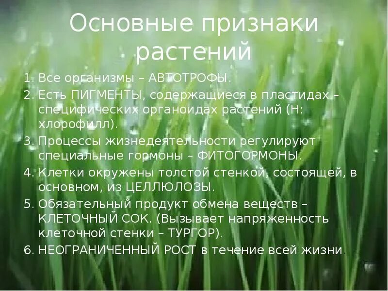 В природе самым распространенным и многочисленным