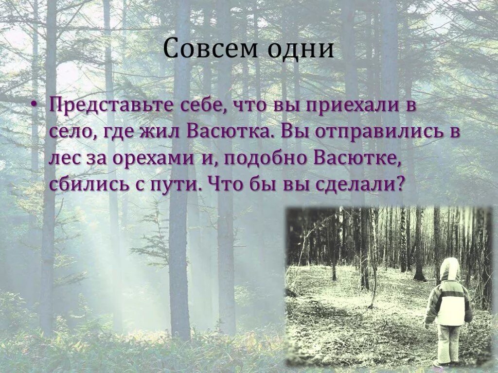 Васютка нашел озеро в лесу. Васютка отправляется в лес. Памятка по рассказу Васюткино озеро. Поведение Васютки в лесу. Памятка заблудившемуся в лесу по рассказу Васюткино озеро.