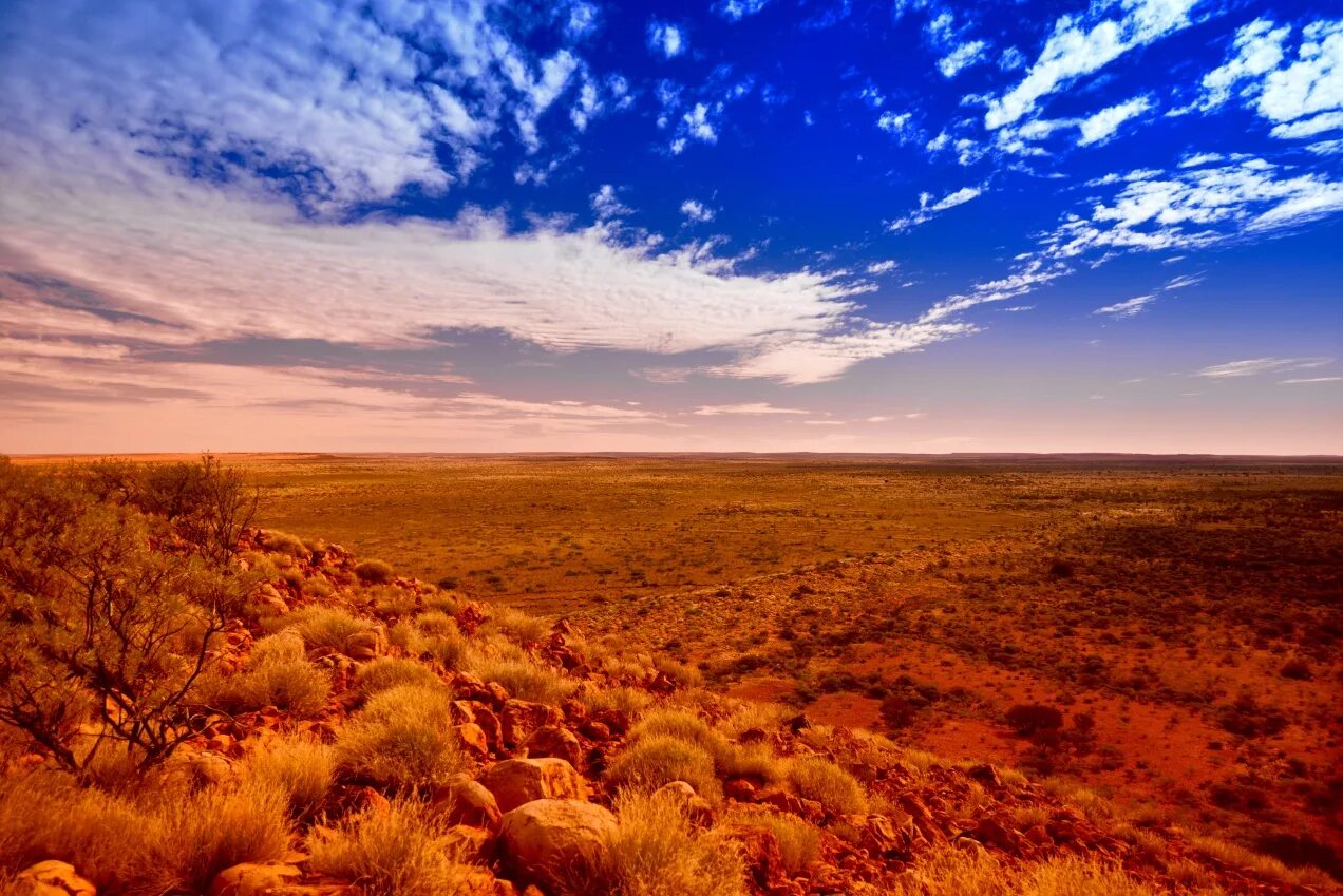 Полупустыни австралии. Зона пустынь (полупустыни и пустыни). Почвы пустыни и полупустыни в австралии. Пустыни и полупустыни африки. Климат пустынь и полупустынь австралии.